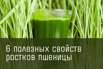 Работа 3808019