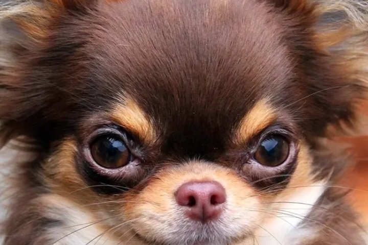 Клуб"вольный ветер"