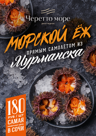 Морской Ёж