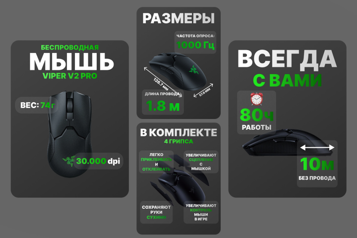Мышка