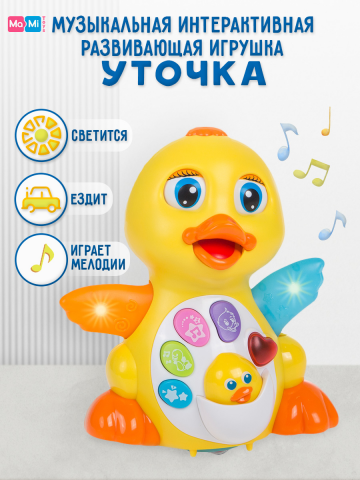 Инфографика для Wildberries