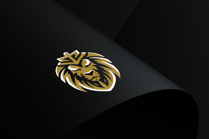 Разработка логотипа для сафари