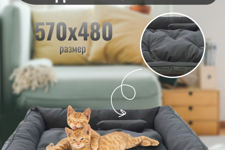 Инфографика Товаров для животных