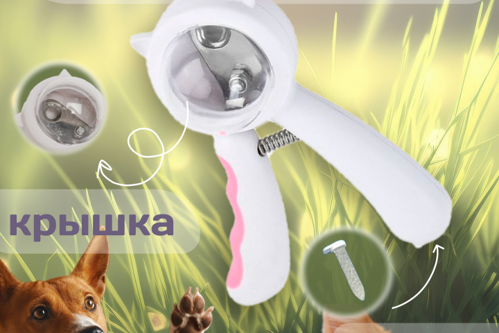 Инфографика Товаров для животных