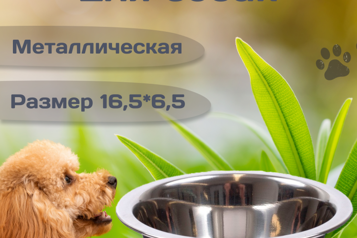 Инфографика Товаров для животных