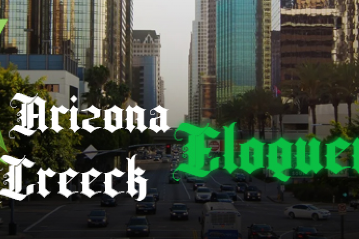 Banner 1