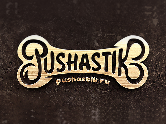 PUSHASTIK