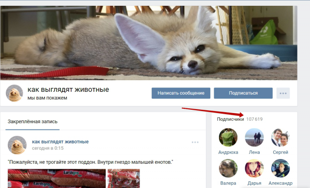 Ведение группы в контакте "Животные"