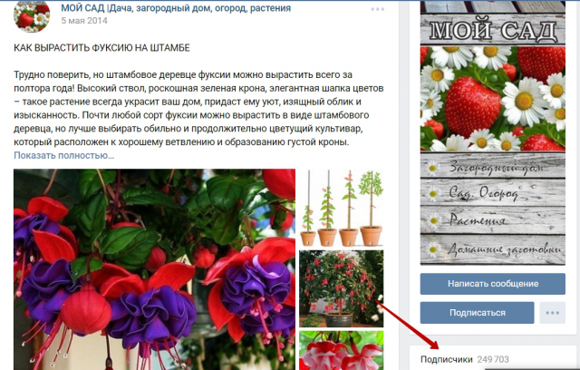 Ведение группы в контакте "Мой сад"