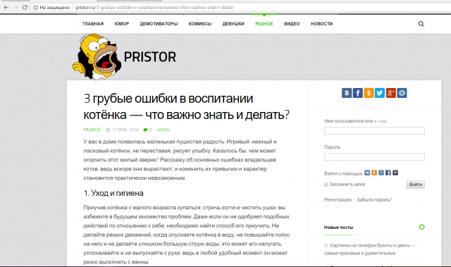 Три грубые ошибки в воспитании котёнка