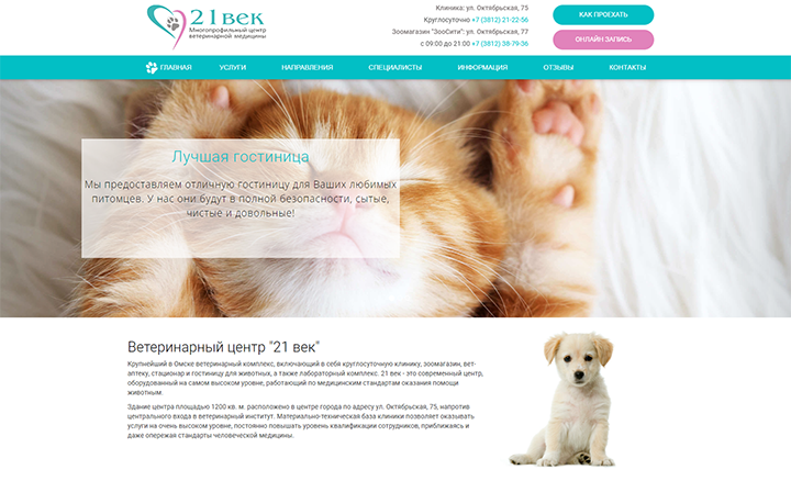 Разработка и продвижение сайта вет-клиники в Омске