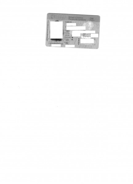 pic2491716.jpg