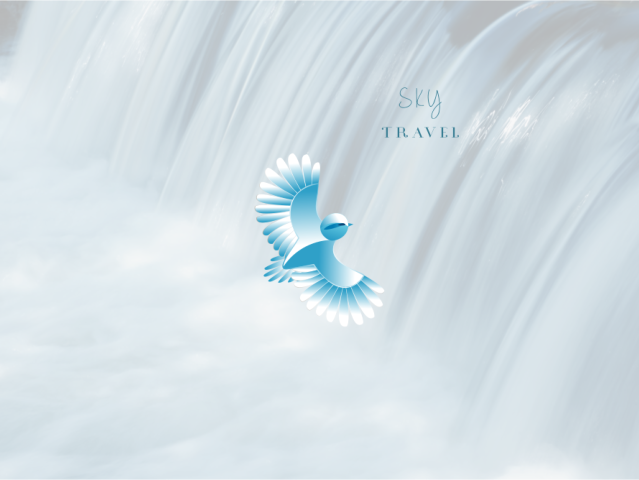 Sky travel