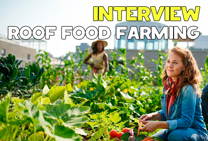 Расшифровка и перевод интервью о Roof Food Farm