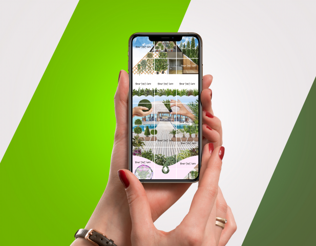 Бесшовная лента инстаграм для аккаунта магазина растений.