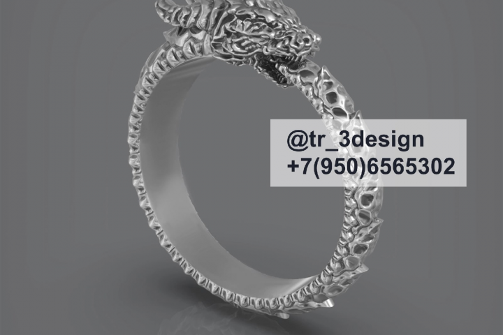 Модель Кольцо Уроборос