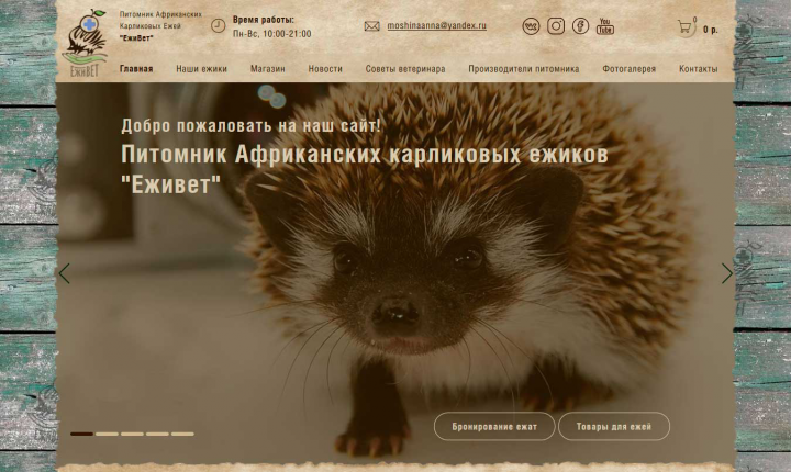 «ЕжиВет»