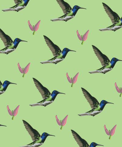 Паттерн Птица