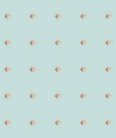 Паттерн Ракушка