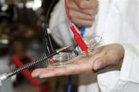 Телевизоры с запахом. Будущая реальность