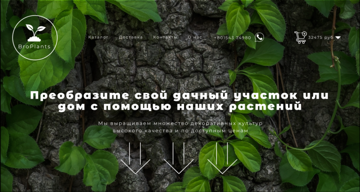 Одностраничный сайт про садовый магазин