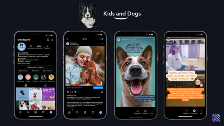 Образовательный проект Kids and Dogs