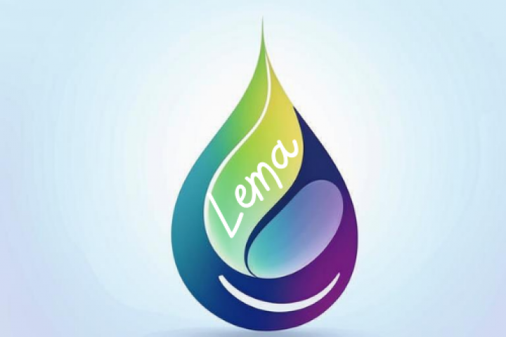 логотип  фирмы Lema