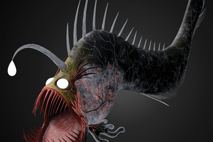 Angler Fish
