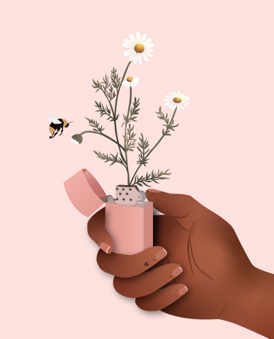 Работа в Illustrator