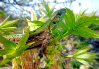 Работа 1412150