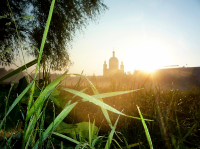 Работа 1412140