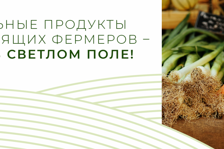 Рекламный баннер для магазина "Светлое поле"
