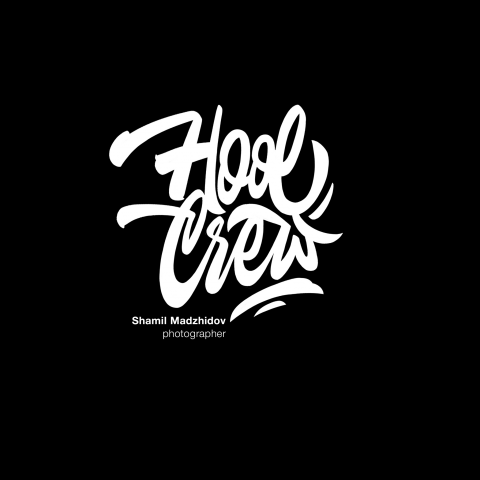 Работа 3741770