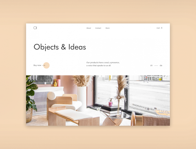 Objects & Ideas