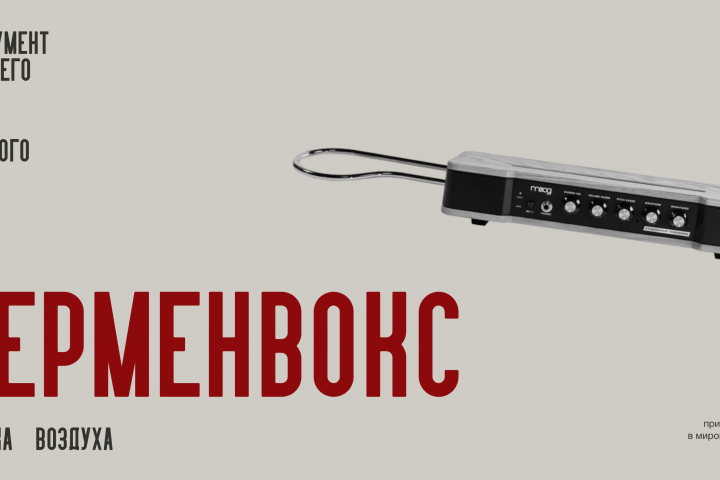 Терменвокс - инструмент будущего