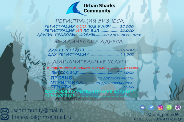 фирменный стиль(бланк задник 2)