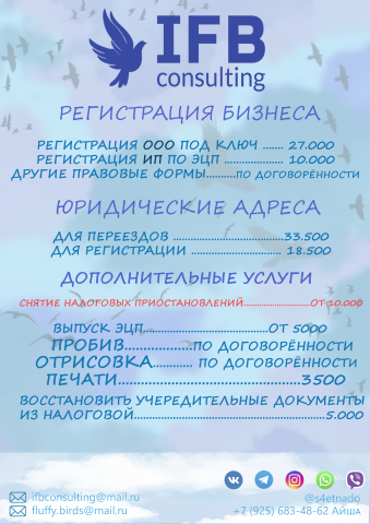 фирменный стиль(бланк задник3)