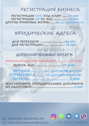 фирменный стиль(бланк задник)