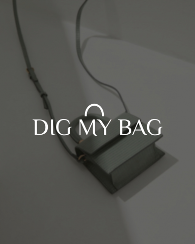 Логотип Dig my Bag