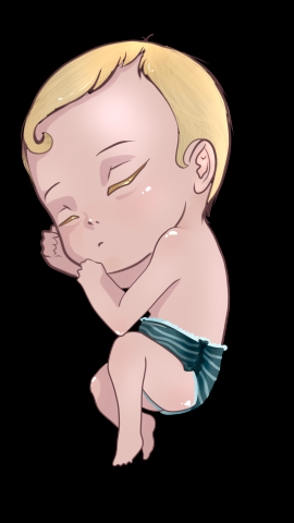 Baby