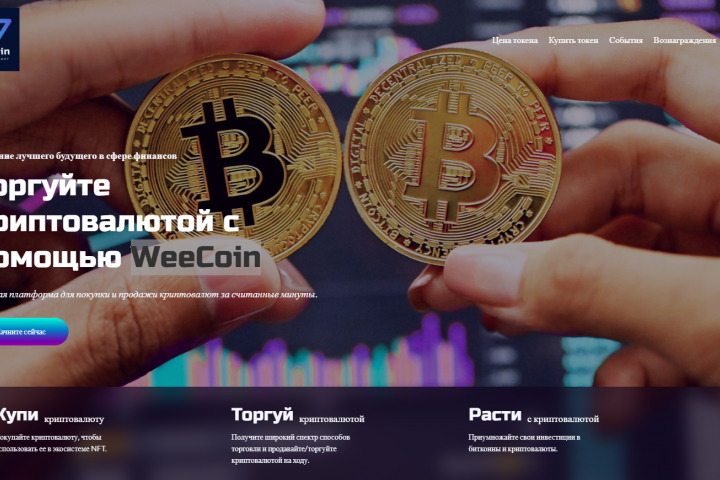Щепетильный веб-дизайн для WeeCoin.