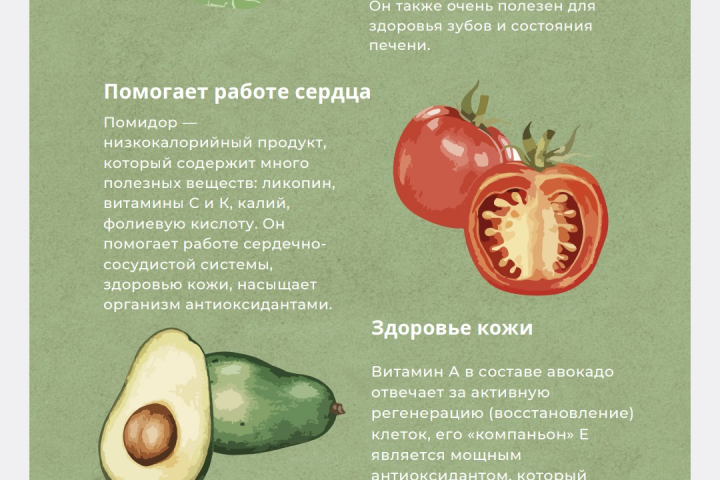 Инфографика