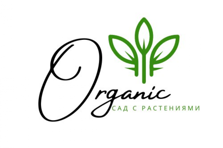 Лого