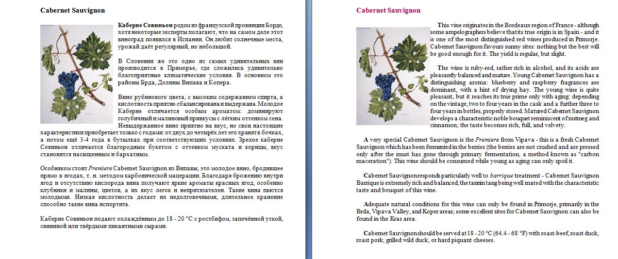 Каберне Савиньон.jpg