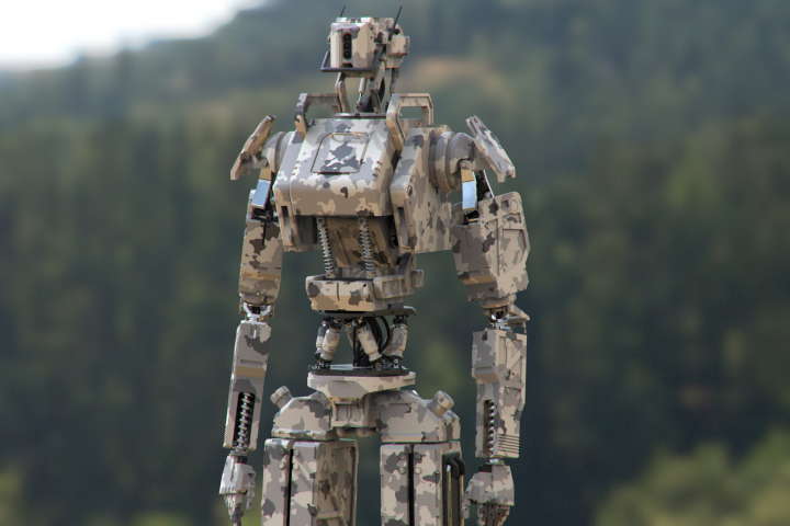 Camouflage robot