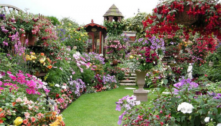 Как подобрать цветы для своего участка