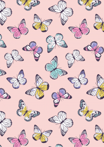 Бабочки, раппорт.