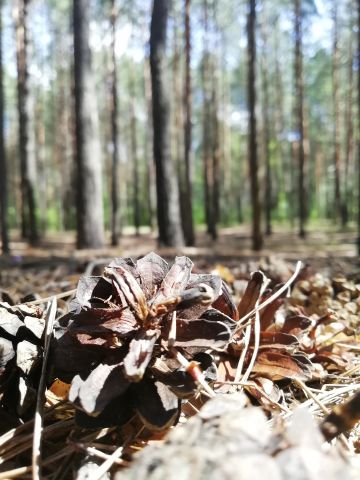 на велопрогулке