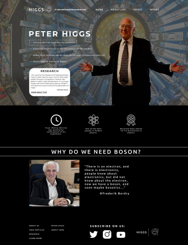 Дизайн сайта "HIGGS"