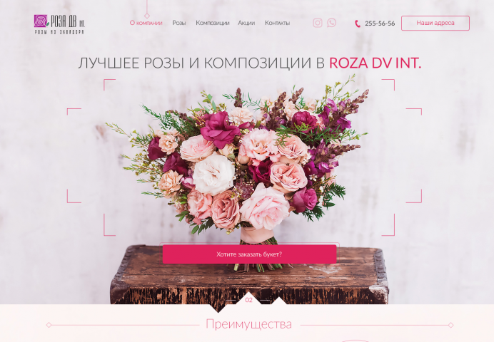 Роза ДВ
